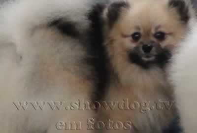 Clique sobre a foto para fechar